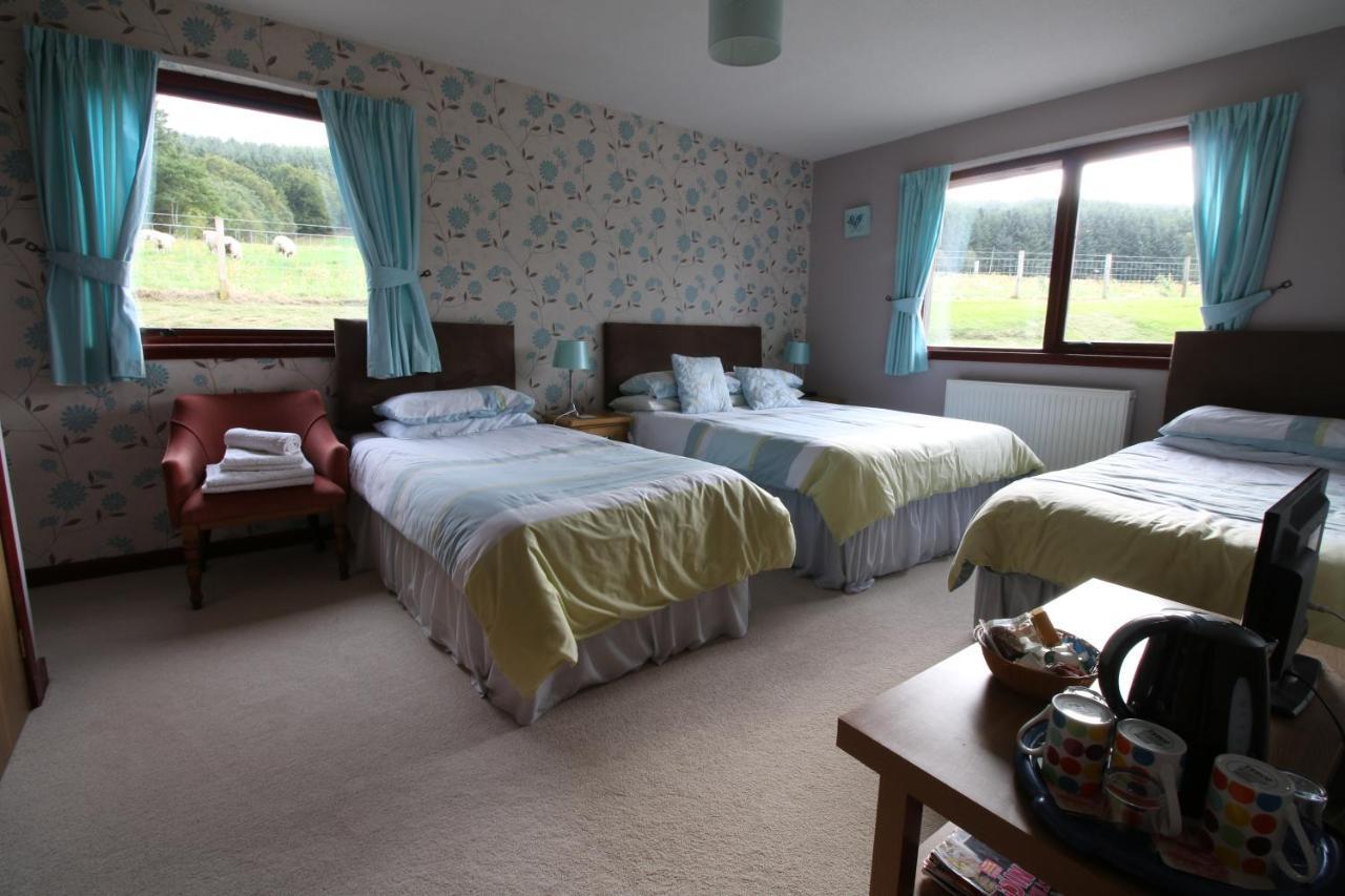 Mapleview Bed And Breakfast Corse  Bagian luar foto